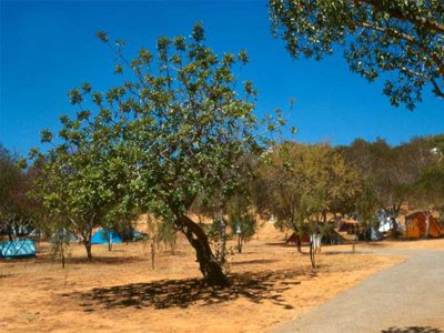 Cliquez pour découvrir toutes les photos de l'ÉTABLISSEMENT ! établissement Valverde photo 24