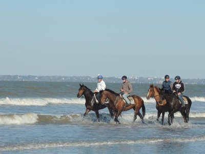 établissement Clos Mer Et Nature photo 19