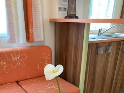 Cliquez pour découvrir toutes les photos de l'HÉBERGEMENT ! mobil-home - Le Bois D'Amour photo 3
