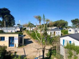 Camping Pas Cher vous présente avec son site Officiel campingpascher.fr, le Camping Le Bois D'Amour classé 2 étoiles, situé sur la commune de Ile Tudy dans le département Finistère (Bretagne) en France. Le camping Le Bois D'Amour, vous présente un hébergement de type mobil-home de 30 m² et télévision. Le camping Le Bois D'Amour vous propose du sam. 11 juillet au sam. 18 juillet 2026 pour 7 nuits à 815€. Cette location propose 2 dates différentes pour réserver votre séjour. Découvrez également les 3 autres gammes d'hébergements du camping. Les Avis clients pour le Camping Le Bois D'Amour sont excellents avec une note moyenne de 8 sur 10. MerRivière, Court de tennis, Randonnée, Sports nautiques, Dépôt de pain, Supermarché, Épicerie,... En savoir plus : cliquez-ICI.