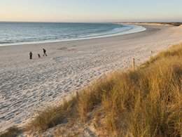 Camping Pas Cher vous présente avec son site Officiel campingpascher.fr, le Camping De Lanven classé 3 étoiles, situé sur la commune de Plomeur dans le département Finistère (Bretagne) en France. Le camping De Lanven, vous présente un hébergement de type tente pour 2 personnes. Le camping De Lanven vous propose du dimanche 26 avril au dimanche 03 mai 2026, en promotion à -15% pour 7 nuits à 91,80 € au lieu de 108,0 € soit une Économie de 16,20 €. Cette location propose 91 dates différentes pour réserver votre séjour. Découvrez également les 12 autres gammes d'hébergements du camping. Les Avis clients pour le Camping De Lanven sont excellents avec une note moyenne de 8 sur 10. Animations familiales, Aire de jeux enfants, Centre équestre, Ping-pong, Pétanque, Surf, Terrain de volley-ball, Bar, Créperie, Dépôt de pain, Snack/Bar, Supermarché, Épicerie,... En savoir plus : cliquez-ICI.