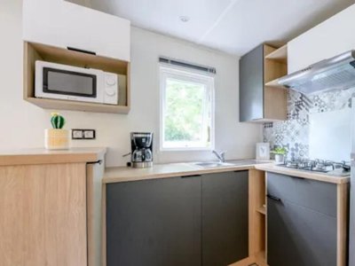 Cliquez pour découvrir toutes les photos de l'HÉBERGEMENT ! mobil-home - L'Arbre D'Or photo 2
