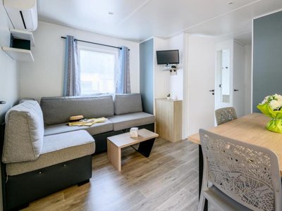 Cliquez pour découvrir toutes les photos de l'HÉBERGEMENT ! mobil-home - L'Arbre D'Or photo 2