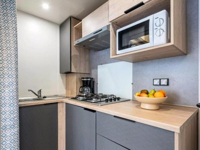 Cliquez pour découvrir toutes les photos de l'HÉBERGEMENT ! mobil-home - L'Arbre D'Or photo 5