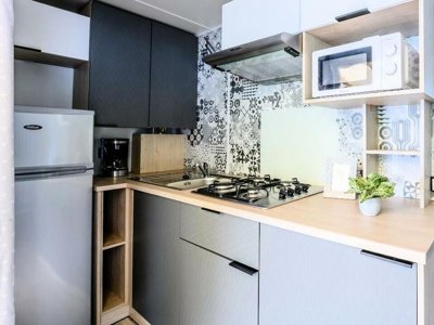 Cliquez pour découvrir toutes les photos de l'HÉBERGEMENT ! mobil-home - L'Arbre D'Or photo 5