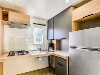 Cliquez pour découvrir toutes les photos de l'HÉBERGEMENT ! mobil-home - L'Arbre D'Or photo 12
