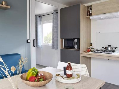 Cliquez pour découvrir toutes les photos de l'HÉBERGEMENT ! mobil-home - L'Arbre D'Or photo 5