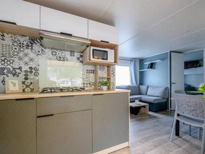Cliquez pour découvrir toutes les photos de l'HÉBERGEMENT ! mobil-home - L'Arbre D'Or photo 3