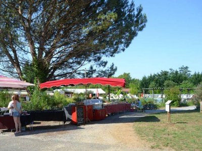 camping Les Pins Du Soleil photo 14