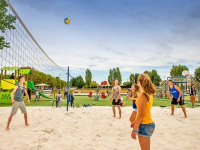 Cliquez pour découvrir toutes les photos de l'ÉTABLISSEMENT ! établissement Les Embruns D'Oléron photo 14
