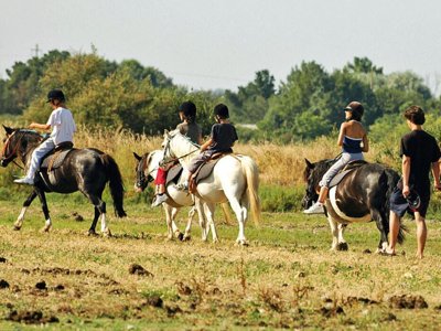 Cliquez pour découvrir toutes les photos de l'ÉTABLISSEMENT ! établissement Les Embruns D'Oléron photo 15