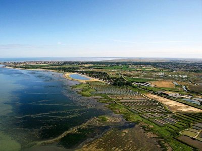Cliquez pour découvrir toutes les photos de l'ÉTABLISSEMENT ! établissement Les Embruns D'Oléron photo 26