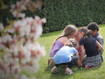 camping Le Bellevue photo 18