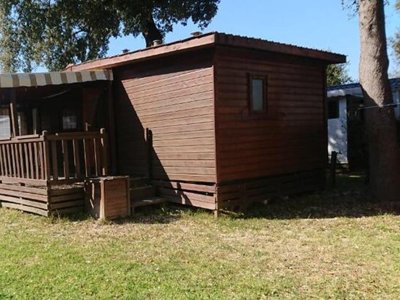 Cliquez pour découvrir toutes les photos de l'HÉBERGEMENT ! chalet - Les Dinosaures photo 7