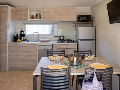 Cliquez pour découvrir toutes les photos de l'HÉBERGEMENT ! mobil-home - Les Dinosaures photo 4