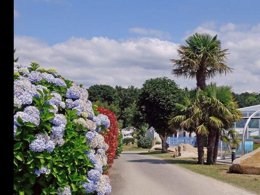 Camping Pas Cher vous présente avec son site Officiel campingpascher.fr, le Camping Flower Le Kerleyou classé 3 étoiles, situé sur la commune de Douarnenez dans le département Finistère (Bretagne) en France. Le camping Flower Le Kerleyou, vous présente un hébergement de type mobil-home de 40 m² et télévision. Le camping Flower Le Kerleyou vous propose du dimanche 12 avril au dimanche 19 avril 2026, en promotion à -9% pour 7 nuits à 535,50 € au lieu de 588,5 € soit une Économie de 53 €. Cette location propose 109 dates différentes pour réserver votre séjour. Découvrez également les 14 autres gammes d'hébergements du camping. Les Avis clients pour le Camping Flower Le Kerleyou sont de 7 sur 10. Piscine chauffée, Piscine couverte, Animations familiales, Club enfants, Aire de jeux enfants, Baby-foot, Centre équestre, Court de tennis, Golf, Ping-pong, Pétanque, Bar, Dépôt de pain, Plats à emporter, Supermarché, Épicerie,... En savoir plus : cliquez-ICI.