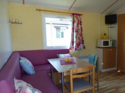 Cliquez pour découvrir toutes les photos de l'HÉBERGEMENT ! mobil-home - Flower Domaine De Pendruc photo 5
