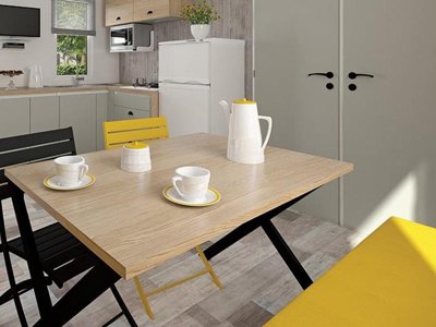 Cliquez pour découvrir toutes les photos de l'HÉBERGEMENT ! mobil-home - Flower Domaine De Pendruc photo 3