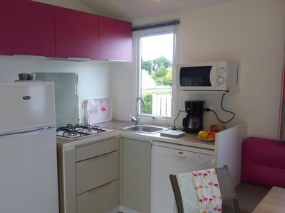 Cliquez pour découvrir toutes les photos de l'HÉBERGEMENT ! mobil-home - Flower Domaine De Pendruc photo 3
