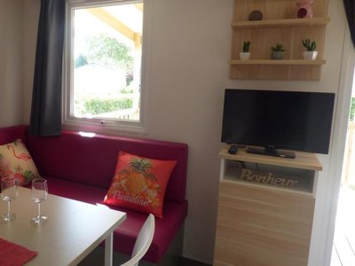 mobil-home - Flower Domaine De Pendruc photo 4