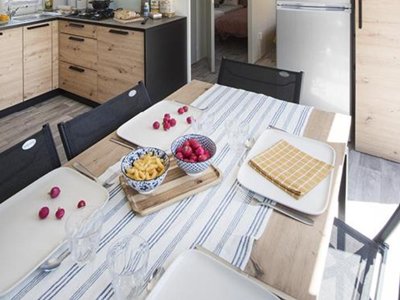 Cliquez pour découvrir toutes les photos de l'HÉBERGEMENT ! mobil-home - Flower Domaine De Pendruc photo 4