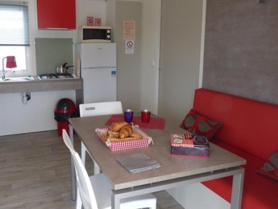 Cliquez pour découvrir toutes les photos de l'HÉBERGEMENT ! mobil-home - Flower Domaine De Pendruc photo 3