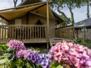 Cliquez pour découvrir toutes les photos de l'HÉBERGEMENT ! tente - camping Flower Domaine De Pendruc photo 9