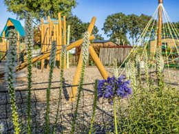 Camping Pas Cher vous présente avec son site Officiel campingpascher.fr, le Camping Flower Domaine De Pendruc classé 4 étoiles, situé sur la commune de Tregunc dans le département Finistère (Bretagne) en France. Le camping Flower Domaine De Pendruc, vous présente un hébergement de type tente de 26 m². Le camping Flower Domaine De Pendruc vous propose du sam. 11 avril au sam. 18 avril 2026 pour 7 nuits à 385€. Cette location propose 69 dates différentes pour réserver votre séjour. Découvrez également les 20 autres gammes d'hébergements du camping. Les Avis clients pour le Camping Flower Domaine De Pendruc sont excellents avec une note moyenne de 8 sur 10. Piscine couverte, Piscine extérieure, Animations familiales, Club enfants, Canoë-kayak, Centre équestre, Court de tennis, Golf, Parcours sportif, Ping-pong, Plongée, Pétanque, Terrain multisports, Dépôt de pain, Plats à emporter, Snack/Bar,... En savoir plus : cliquez-ICI.