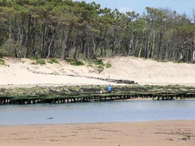 Cliquez pour découvrir toutes les photos de l'ÉTABLISSEMENT ! établissement Le Paradis photo 27