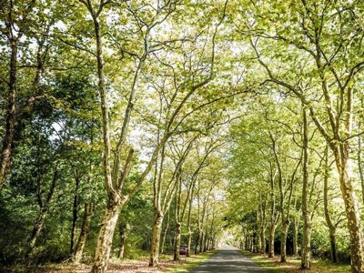 Cliquez pour découvrir toutes les photos de l'ÉTABLISSEMENT ! camping Domaine De La Forge - Sea Green By Sunêlia photo 23