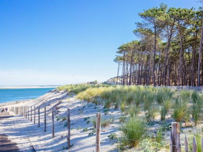 Cliquez pour découvrir toutes les photos de l'ÉTABLISSEMENT ! camping Domaine De La Forge - Sea Green By Sunêlia photo 28