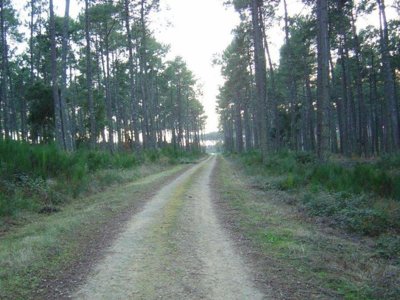 camping Lou Payou photo 7