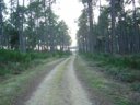 camping Lou Payou photo 7