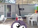 Cliquez pour découvrir toutes les photos de l'HÉBERGEMENT ! mobil-home - camping Flower Les Fauvettes photo 2