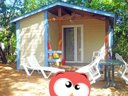 Camping Pas Cher vous présente avec son site Officiel campingpascher.fr, le Camping Flower Les Fauvettes classé 3 étoiles, situé sur la commune de Anduze dans le département Gard (Languedoc Roussillon) en France. Le camping Flower Les Fauvettes, vous présente un hébergement de type chalet de 25 m² pour 2 personnes. Le camping Flower Les Fauvettes vous propose du lundi 27 avril au lundi 04 mai 2026 pour 7 nuits à 343€. Cette location propose 80 dates différentes pour réserver votre séjour. Découvrez également les 11 autres gammes d'hébergements du camping. Les Avis clients pour le Camping Flower Les Fauvettes sont excellents avec une note moyenne de 8 sur 10. Parc aquatique, Piscine chauffée, Piscine extérieure, Animations familiales, Club enfants, Aire de jeux enfants, Baby-foot, Canoë-kayak, Centre équestre, Club enfant de nuit, Court de tennis, Golf, Ping-pong, Piscine, Pétanque, Randonnée, Structure gonflable enfants, Terrain multisports, Bar, Boulangerie, Dépôt de pain, Pizzeria, Plats à emporter, Snack/Bar, Supermarché,... En savoir plus : cliquez-ICI.