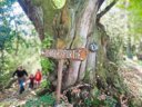 Cliquez pour découvrir toutes les photos de l'ÉTABLISSEMENT ! établissement Le Rural photo 11