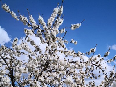 Cliquez pour découvrir toutes les photos de l'ÉTABLISSEMENT ! camping La Colline Des Ocres photo 21