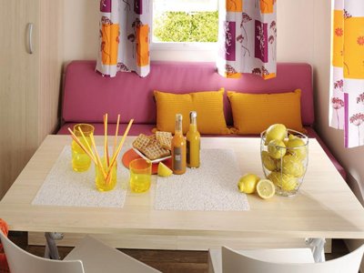 Cliquez pour découvrir toutes les photos de l'HÉBERGEMENT ! mobil-home - La Montagne photo 3