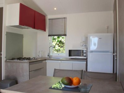Cliquez pour découvrir toutes les photos de l'HÉBERGEMENT ! mobil-home - Le Chaponnet photo 5