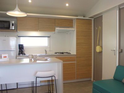 Cliquez pour découvrir toutes les photos de l'HÉBERGEMENT ! mobil-home - Le Chaponnet photo 2