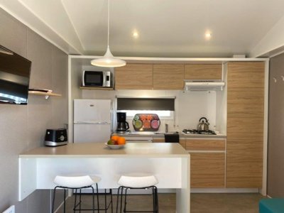 Cliquez pour découvrir toutes les photos de l'HÉBERGEMENT ! mobil-home - Le Chaponnet photo 3