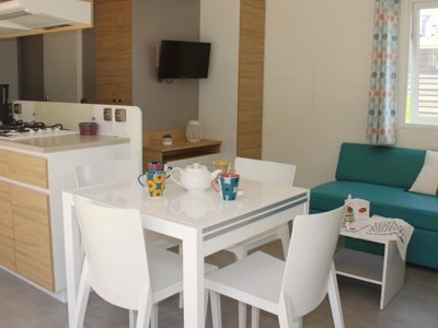 Cliquez pour découvrir toutes les photos de l'HÉBERGEMENT ! mobil-home - Le Chaponnet photo 3