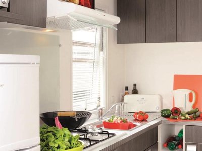 Cliquez pour découvrir toutes les photos de l'HÉBERGEMENT ! mobil-home - La Roseraie photo 2