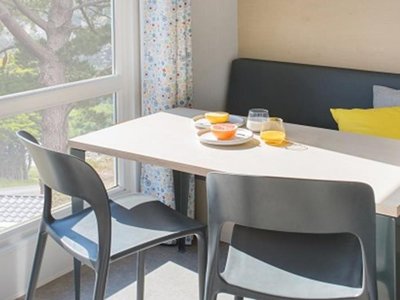 Cliquez pour découvrir toutes les photos de l'HÉBERGEMENT ! mobil-home - La Roseraie photo 4