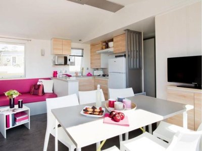 Cliquez pour découvrir toutes les photos de l'HÉBERGEMENT ! mobil-home - La Roseraie photo 4