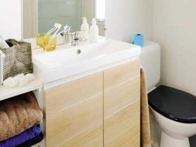 Cliquez pour découvrir toutes les photos de l'HÉBERGEMENT ! mobil-home - La Roseraie photo 7