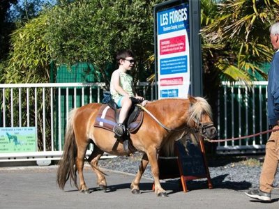 camping Les Forges photo 16
