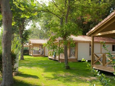 Cliquez pour découvrir toutes les photos de l'ÉTABLISSEMENT ! camping Le Méditerranée Argelès photo 26