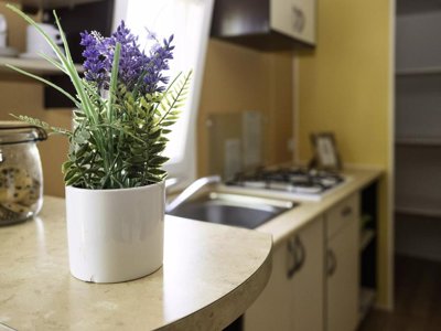 mobil-home - Maeva Escapades Le Domaine Aramis photo 4