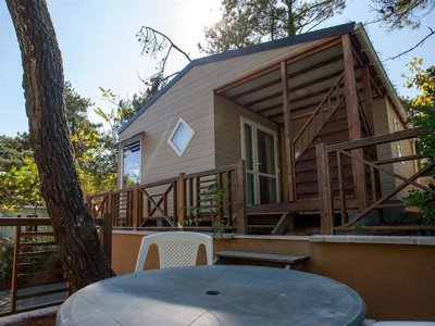 chalet - La Siesta photo 2